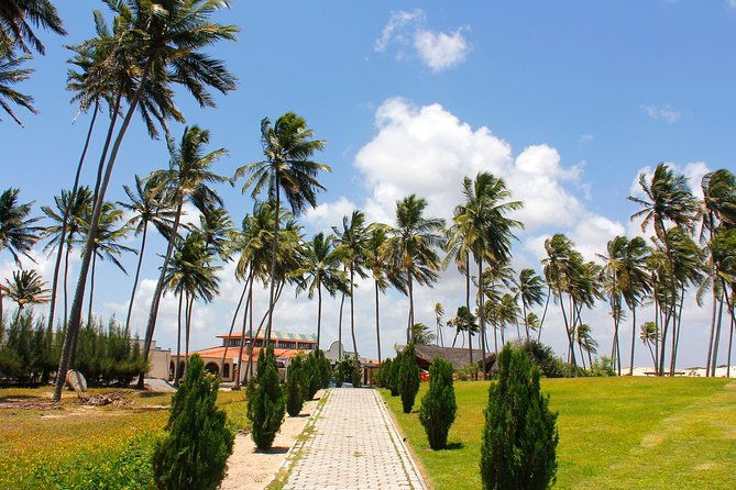 punau-bar-tour-departing-from-natal