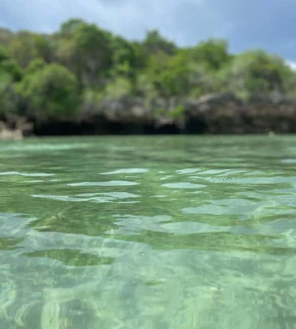 Pungume island, saalam cave and mtende beach day tour - FAQ