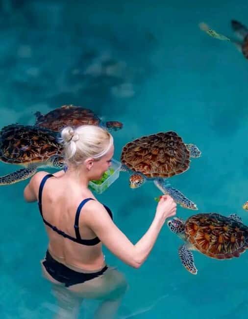 Punguume island,SandBank and Sea turtles Sanctuary with BBQ - Exploring Zanzibar’s Pungume Island and Sea Turtles Sanctuary: An Authentic Day Out
