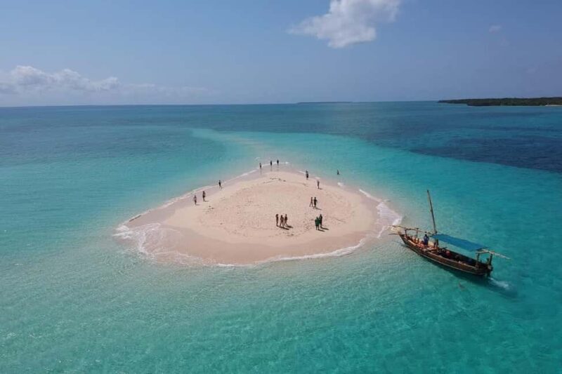 Punguume island,SandBank and Sea turtles Sanctuary with BBQ - The Sum Up: A Genuine Taste of Zanzibar’s Marine Wonders