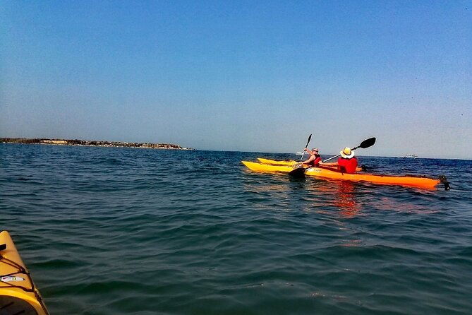 punta-arena-excursion-kayak