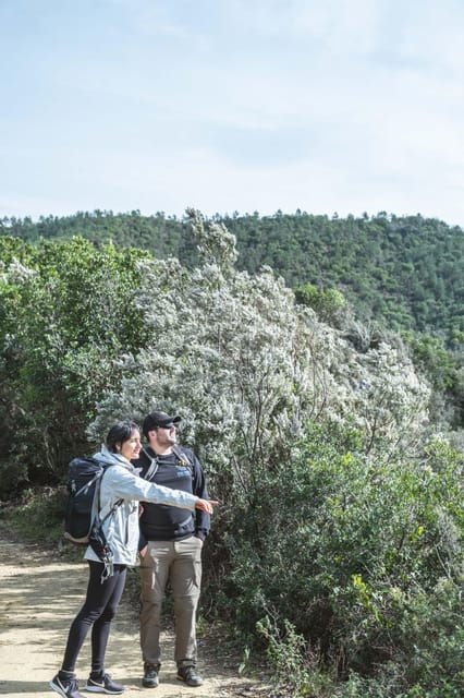 punta-baffe-hiking-immersed-in-the-mediterranean-bush-overlooking-the-sea