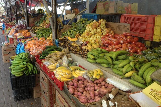 punta-can-panoramic-higuey-city-tour-pickup-hotel