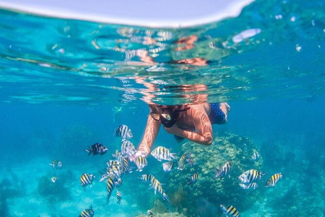 punta-cana-booze-cruise-snorkeling-sand-bar-with-entertainment-2