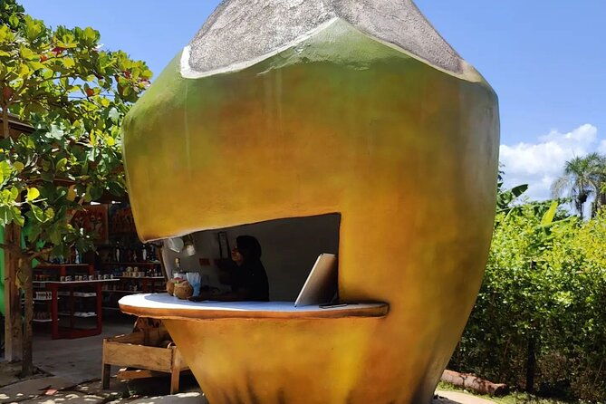 punta-cana-dune-buggy-adventure-and-amazing-water-cave-2