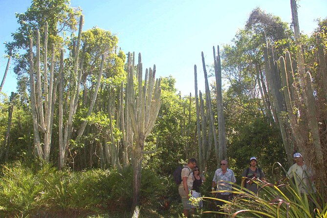 punta-cana-eco-jungle-tour