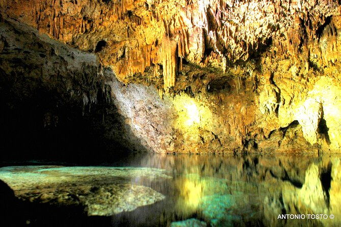 punta-cana-eco-jungle-tour