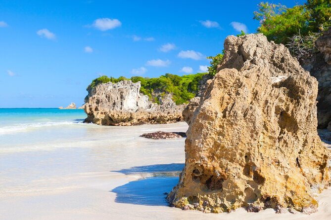 punta-cana-guided-buggy-adventure-tour