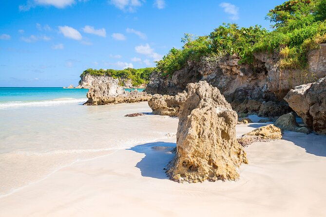 punta-cana-half-day-cultural-safari-with-lunch-and-drinks