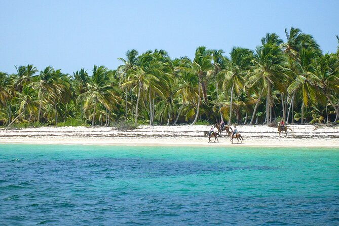 punta-cana-horseback-riding-adventure
