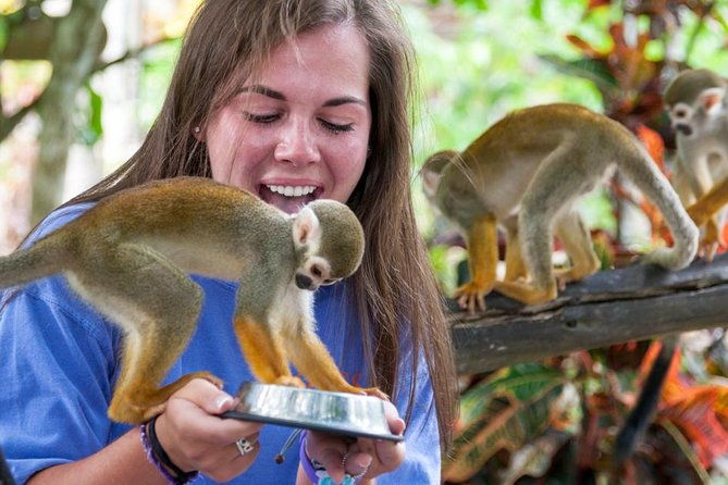 punta-cana-monkeyland-and-zipline-two-adventures-in-one-day