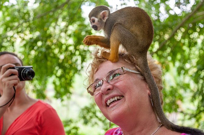punta-cana-monkeyland-and-zipline-two-adventures-in-one-day