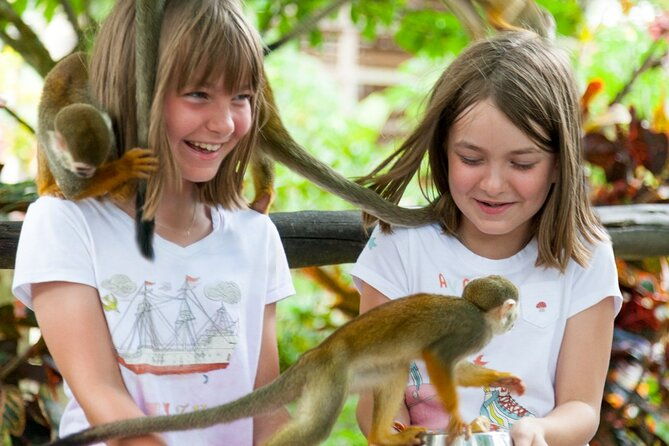 punta-cana-monkeyland-and-zipline-two-adventures-in-one-day