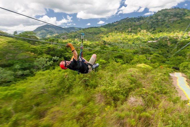 punta-cana-monkeyland-and-zipline-two-adventures-in-one-day