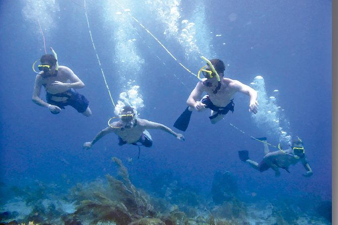 punta-cana-party-cruise-with-snorkeling-hooka-diving-and-parasailing