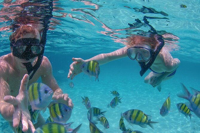 punta-cana-private-boat-small-group