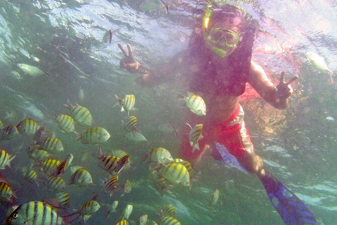 punta-cana-private-boat-small-group