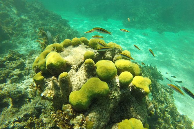 punta-cana-private-cruise-up-to-10-people