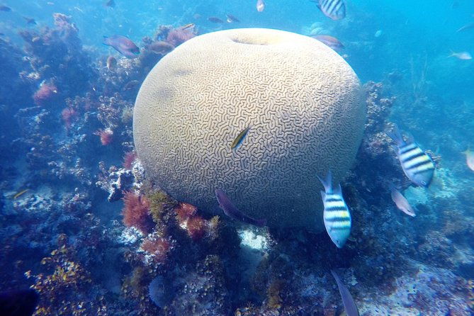 punta-cana-private-cruise-up-to-10-people