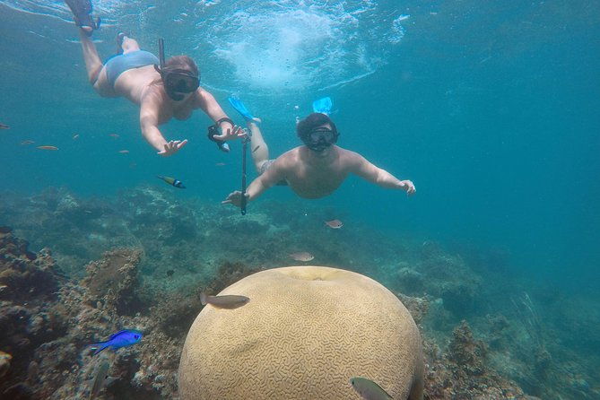 punta-cana-private-cruise-up-to-10-snorkeling-seafood-lunch