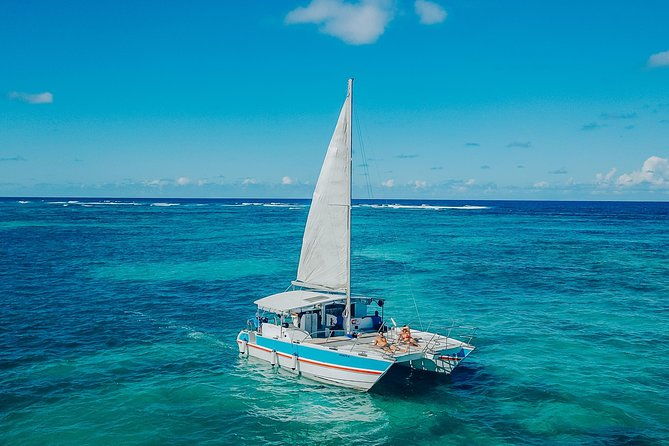 punta-cana-private-cruise-up-to-10-snorkeling-seafood-lunch