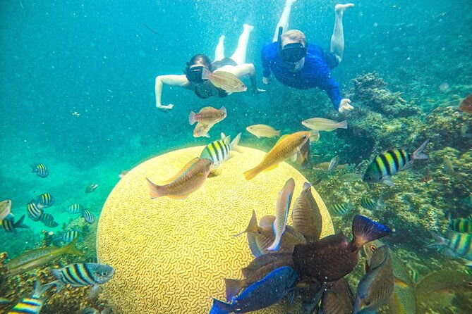 punta-cana-private-cruise-up-to-10-snorkeling-seafood-lunch