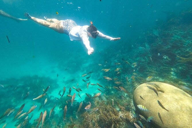 punta-cana-private-cruise-up-to-10-snorkeling-seafood-lunch