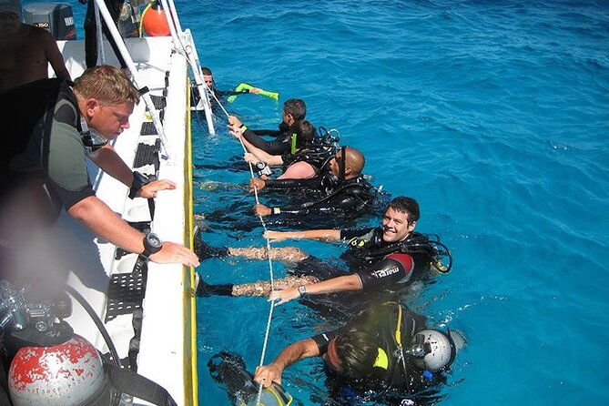 punta-cana-reef-diving-adventure-explore-underwater-wonders