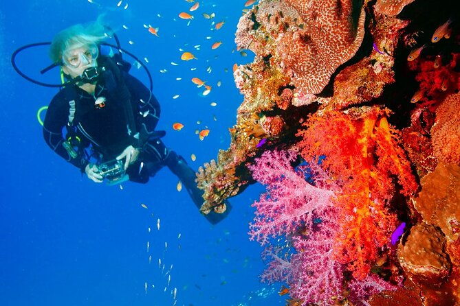 punta-cana-reef-diving-adventure-explore-underwater-wonders