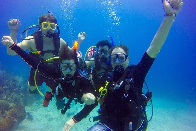 punta-cana-reef-diving-adventure-explore-underwater-wonders