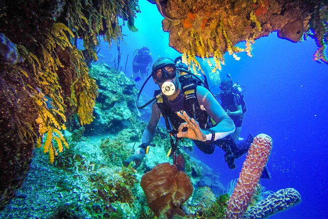 punta-cana-reef-diving-adventure-explore-underwater-wonders