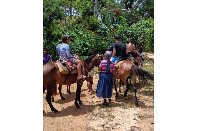 punta-cana-samana-el-limon-waterfall-tour-with-lunch