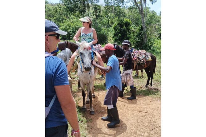 punta-cana-samana-el-limon-waterfall-tour-with-lunch