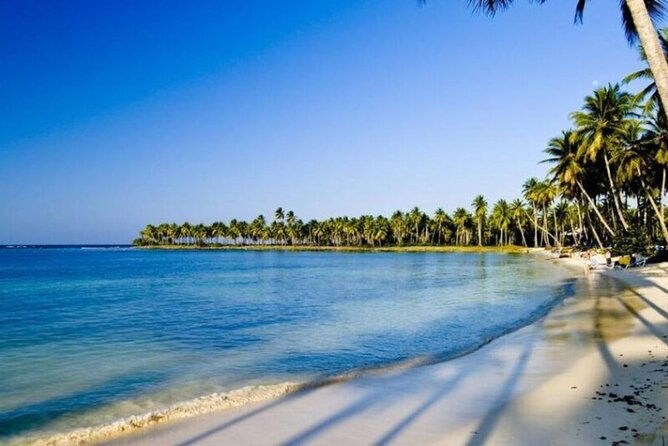 punta-cana-samana-el-limon-waterfall-tour-with-lunch