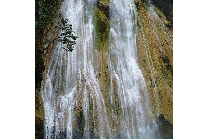 punta-cana-samana-el-limon-waterfall-tour-with-lunch