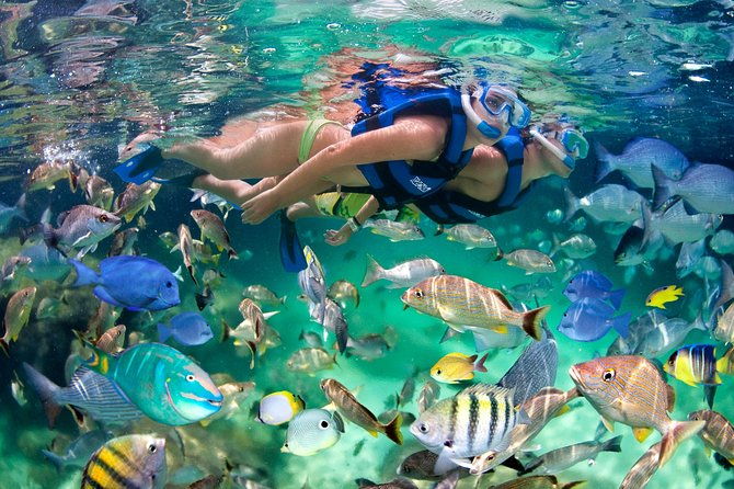 punta-cana-snorkeling-party-cruise