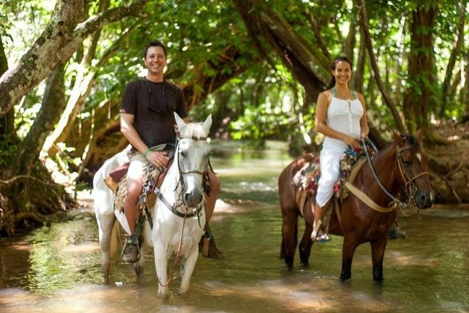 punta-cana-to-samana-el-limon-falls-and-bacardi-island