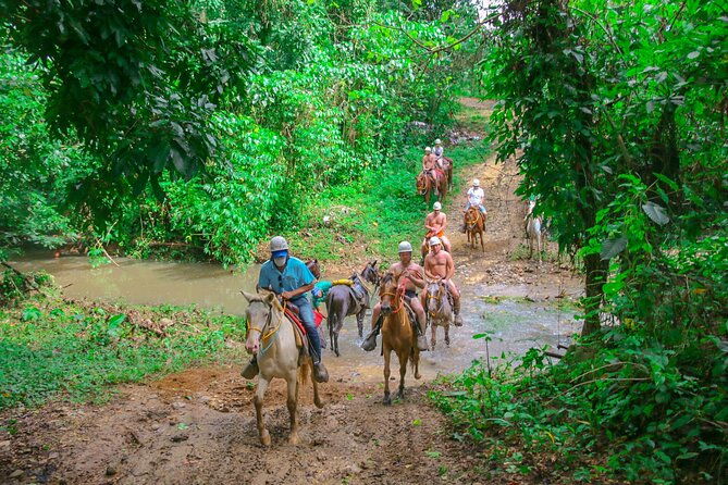 punta-cana-zipline-adventure-with-buggies-and-horseback-riding