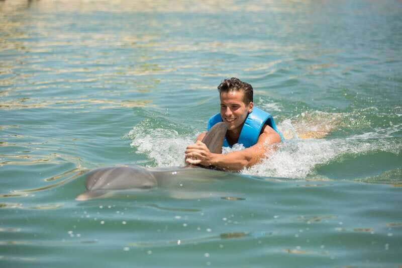 Punta Cancun: Swim with dolphins Ride - Key Points  