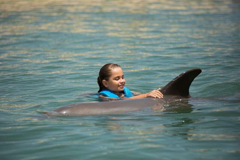 Punta Cancun: Swim with dolphins Splash - What Reviewers Say