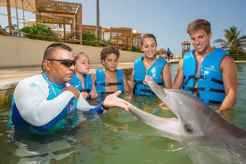 Punta Cancun: Swim with dolphins Supreme - Key Points