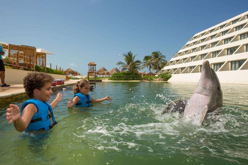 Punta Cancun: Swim with dolphins Supreme - Introduction to the Experience