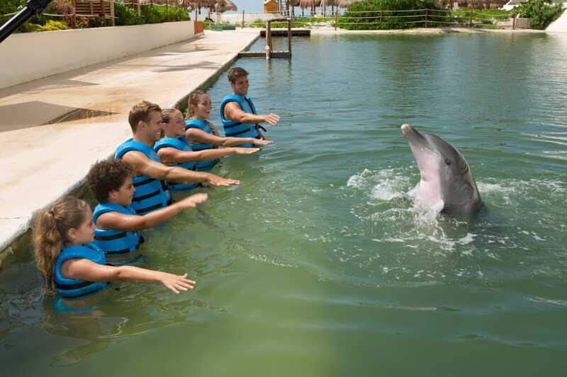 Punta Cancun: Swim with dolphins Supreme - The Sum Up