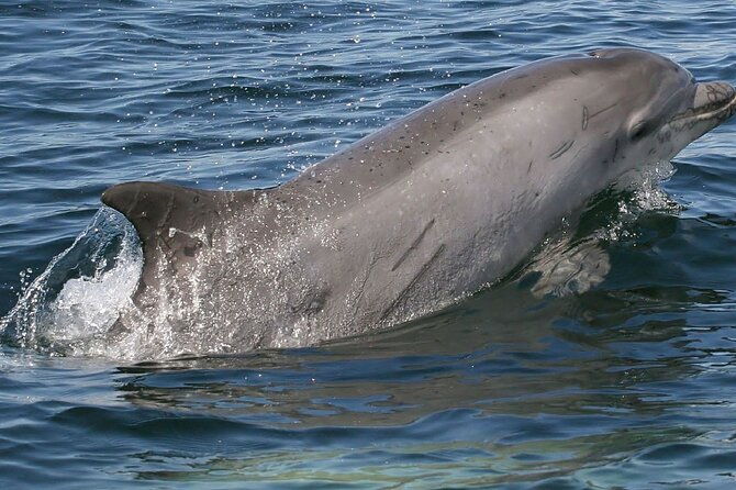 punta-gorda-private-charter