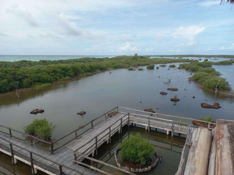 Punta Sur Eco-Park Adventure - Who Will Love This Tour?