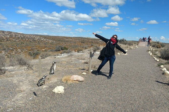 punta-tombo-full-day-tour-walking-among-penguins-regular-service-sib