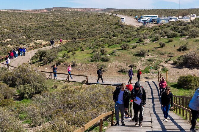 punta-tombo-shore-tour-for-ncl-star-passengers-in-puerto-madryn