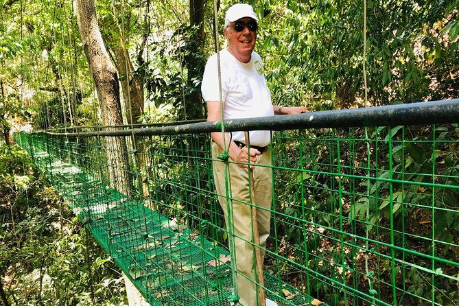 puntarenas-shore-excursion-rainforest-hanging-bridges-skywalk-tour-boat-tour