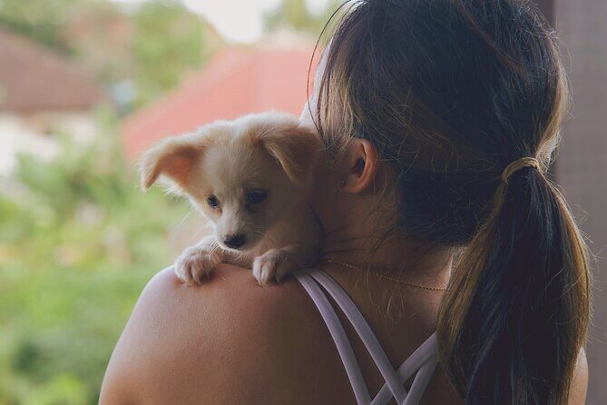 Puppy Yoga Bali, Ubud - 1 Thing to Do in Bali - Introduction