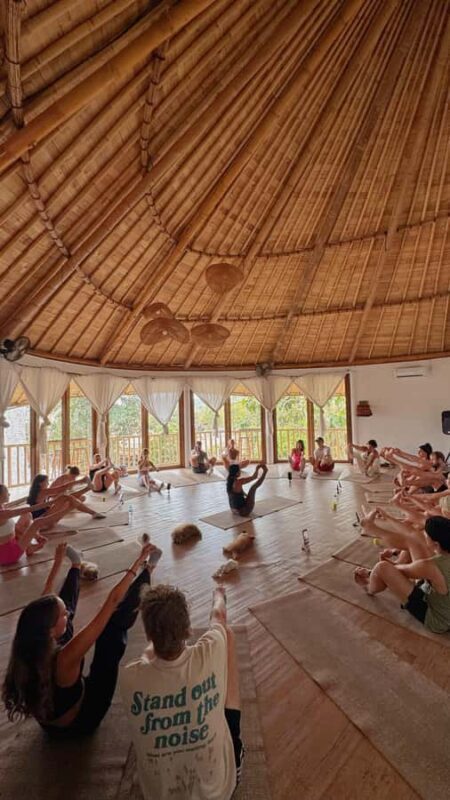 Puppy Yoga in Bali, Ubud & Uluwatu - Key Points